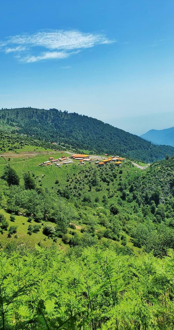 تور سیاهکل